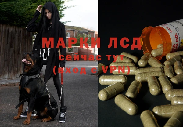 первитин Нея