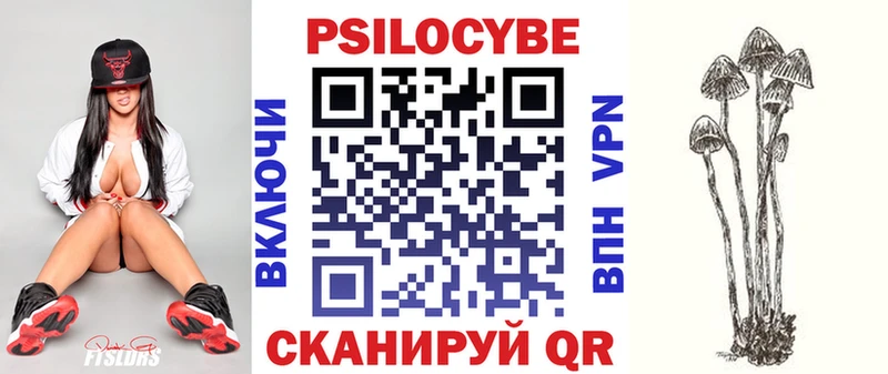 Галлюциногенные грибы Psilocybine cubensis  Костерёво 